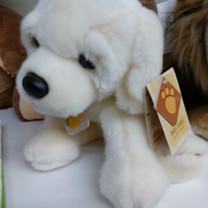 Cane Peluche
