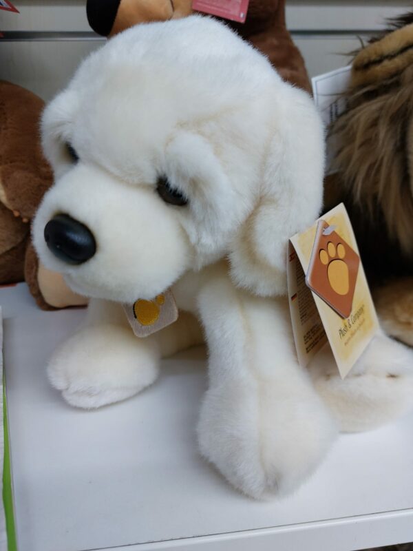 Cane Peluche